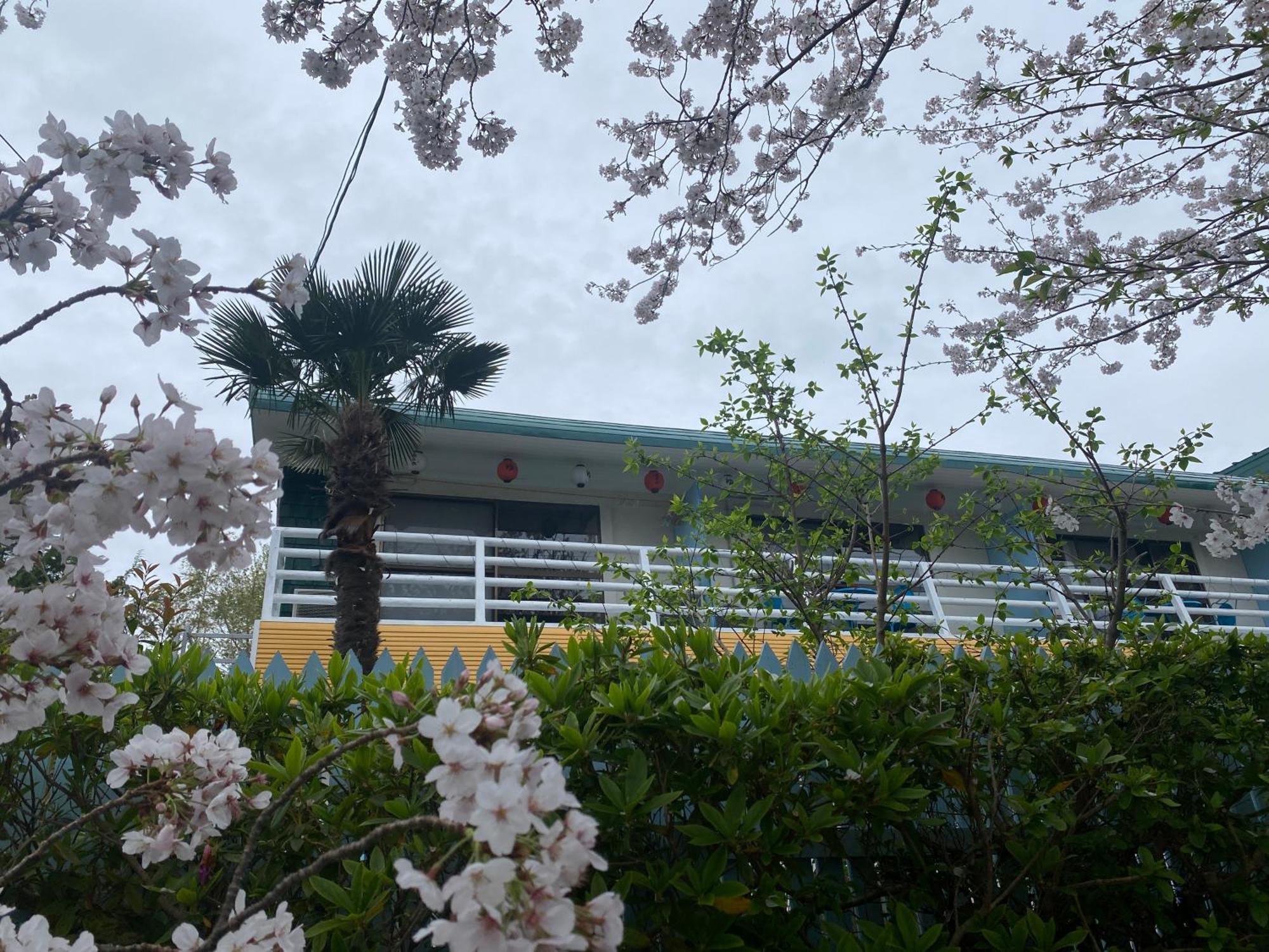 Hanamizuki Onsen Resort Ito  Exteriör bild